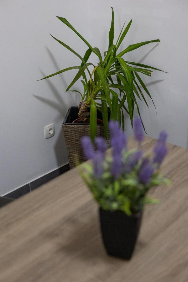 ספליט Apartman Toni מראה חיצוני תמונה